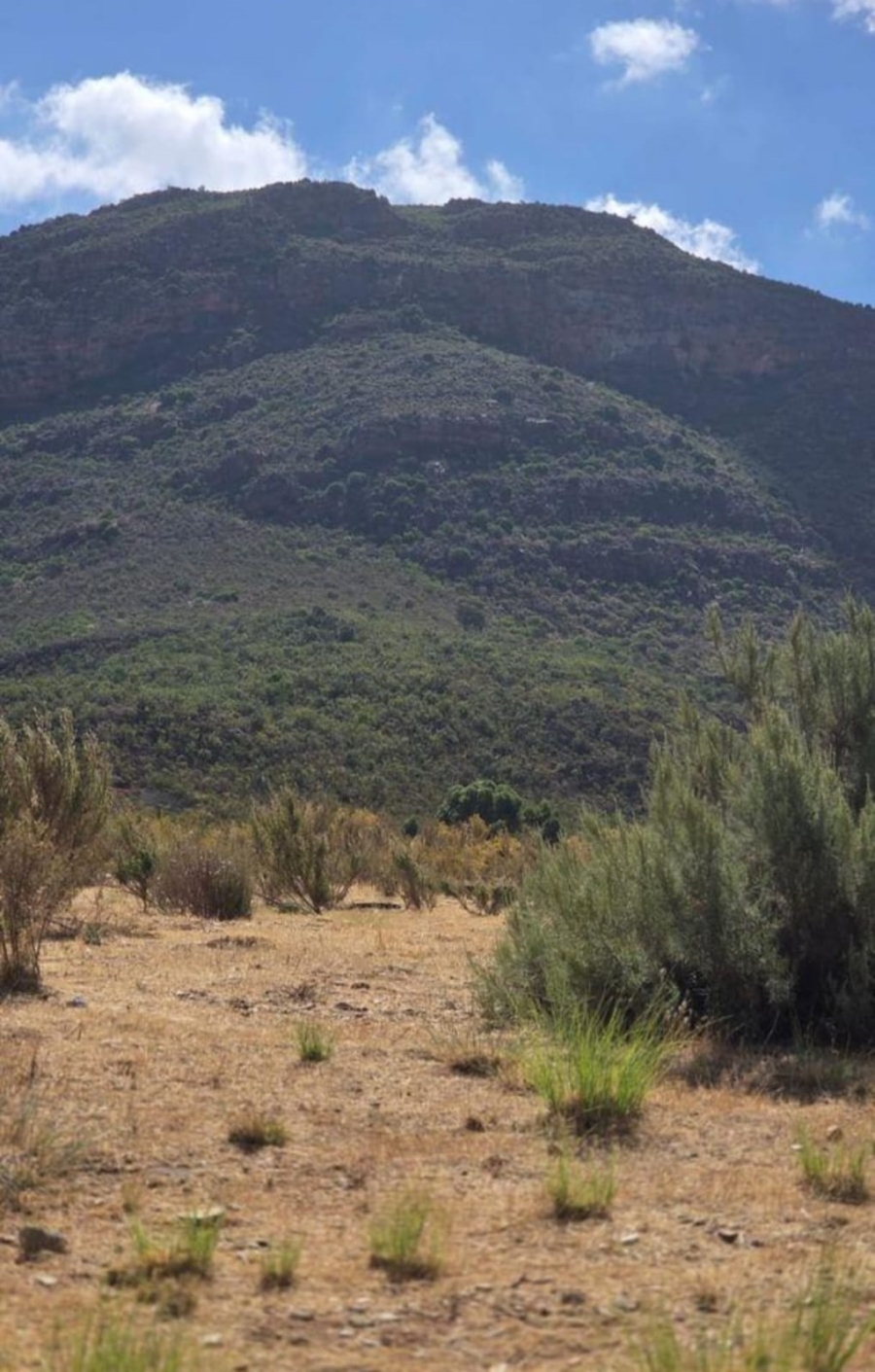 0 Bedroom Property for Sale in Piketberg Western Cape